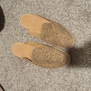 Shoes animal print clogs